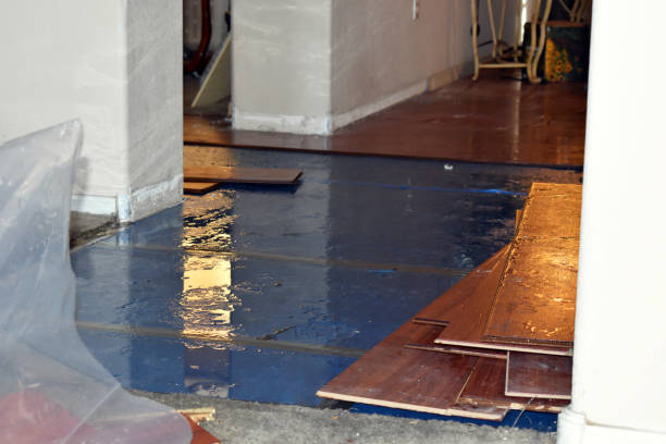 Professional Sewage Cleanup technician working in West, TX